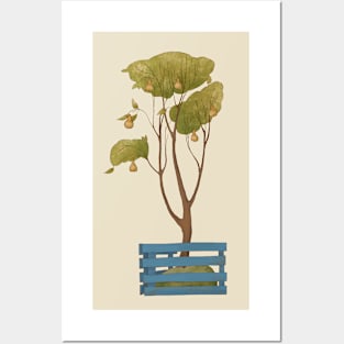 Pear tree planted in a blue box. Posters and Art